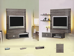 TV Set